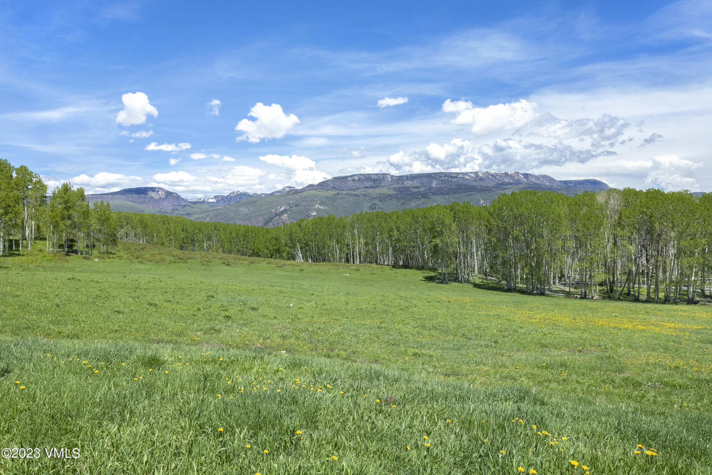 151 County Road Gypsum, CO 81637 - Photo 40 of 73 Sweetwater-001
