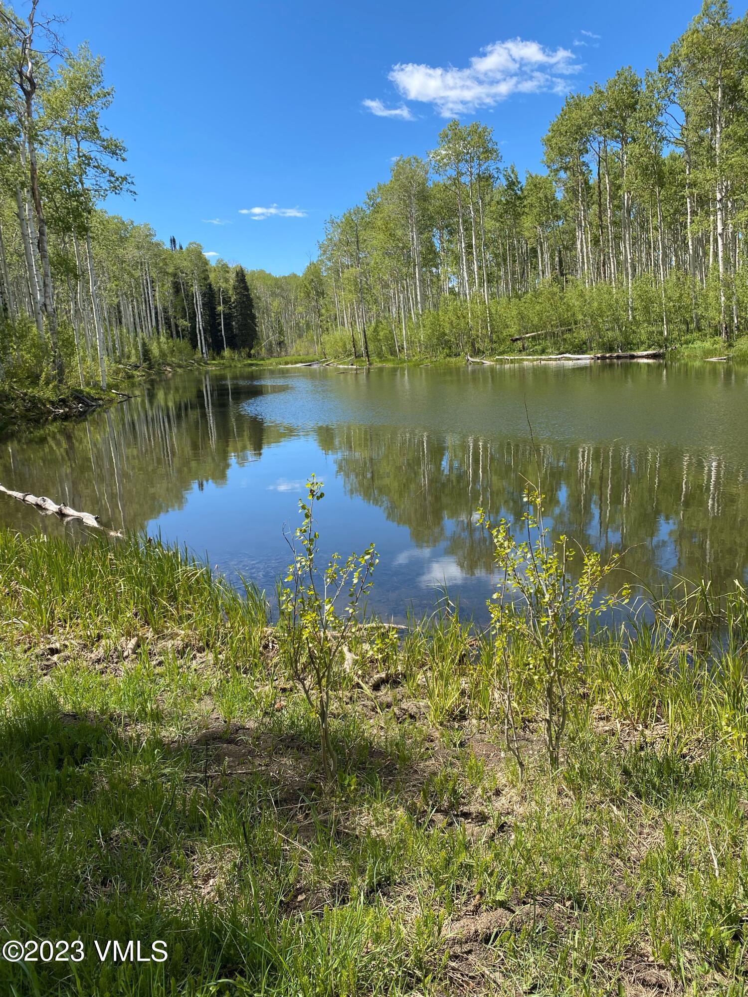 151 County Road Gypsum, CO 81637 - Photo 4 of 73 sw3