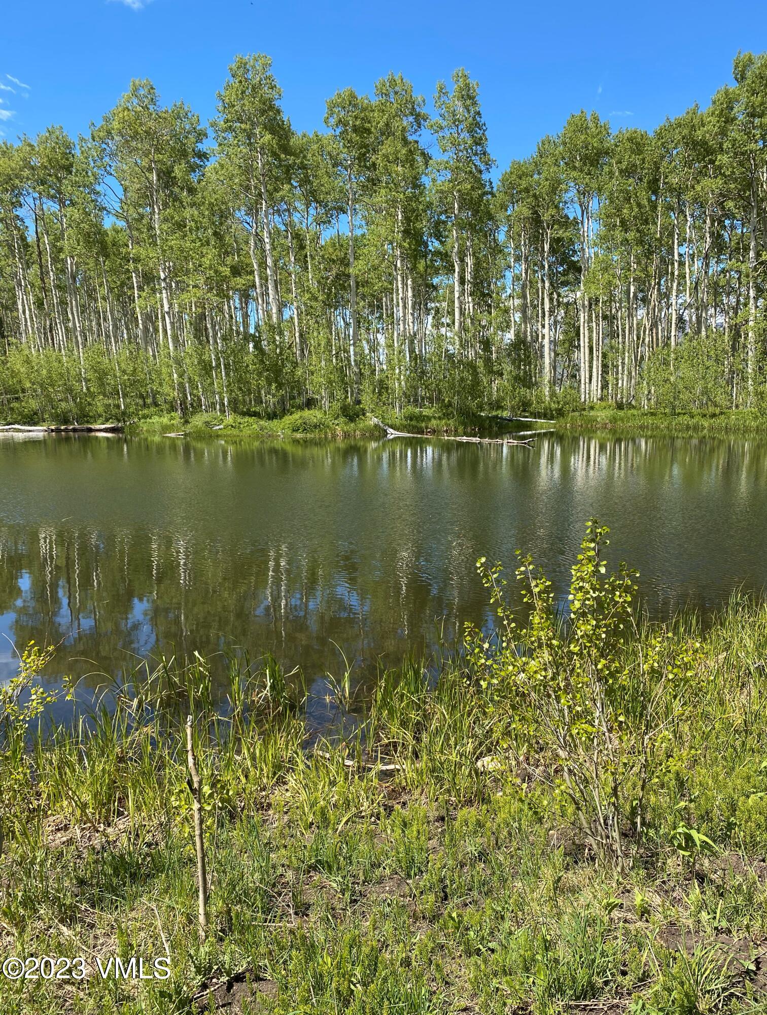 151 County Road Gypsum, CO 81637 - Photo 5 of 73 sw1