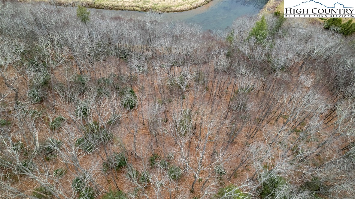 Bare Hollow Road West Jefferson, NC 28694 - Photo 11 of 30