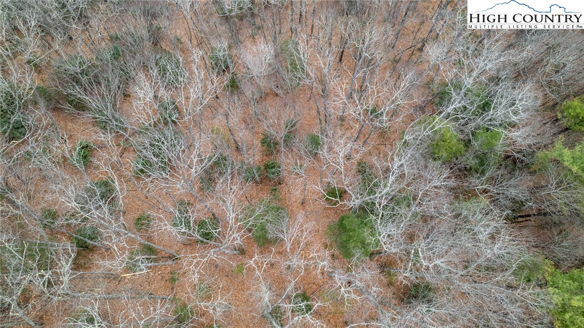 Bare Hollow Road West Jefferson, NC 28694 - Photo 12 of 30