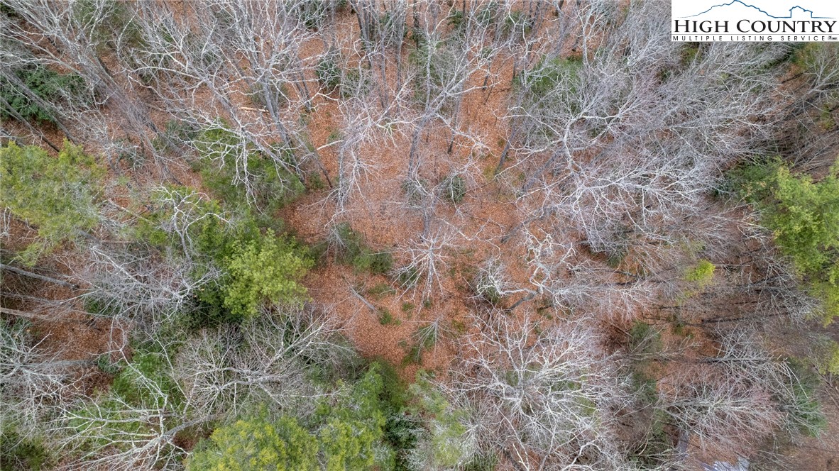Bare Hollow Road West Jefferson, NC 28694 - Photo 13 of 30