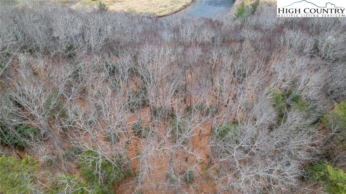 Bare Hollow Road West Jefferson, NC 28694 - Photo 14 of 30
