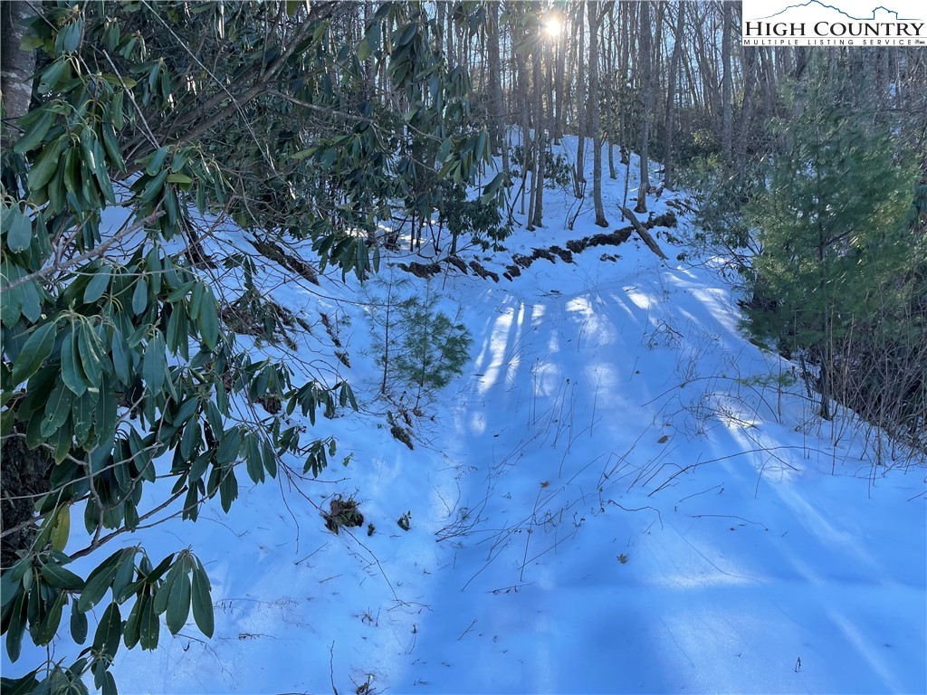 Bare Hollow Road West Jefferson, NC 28694 - Photo 16 of 30