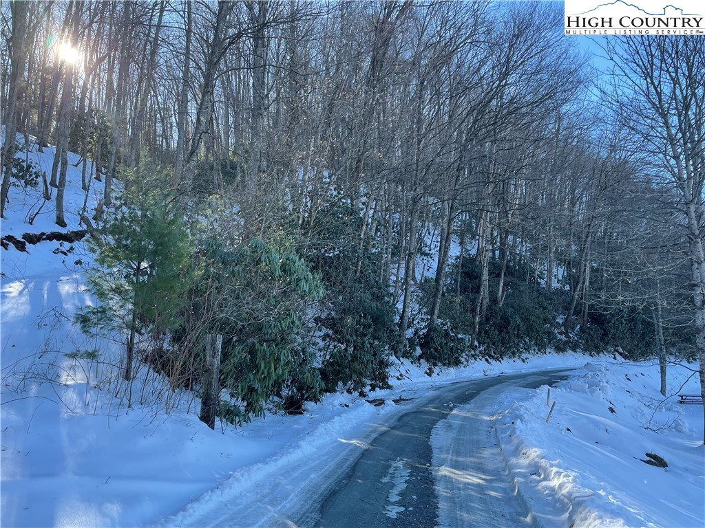 Bare Hollow Road West Jefferson, NC 28694 - Photo 19 of 30