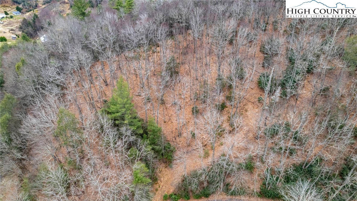 Bare Hollow Road West Jefferson, NC 28694 - Photo 6 of 30