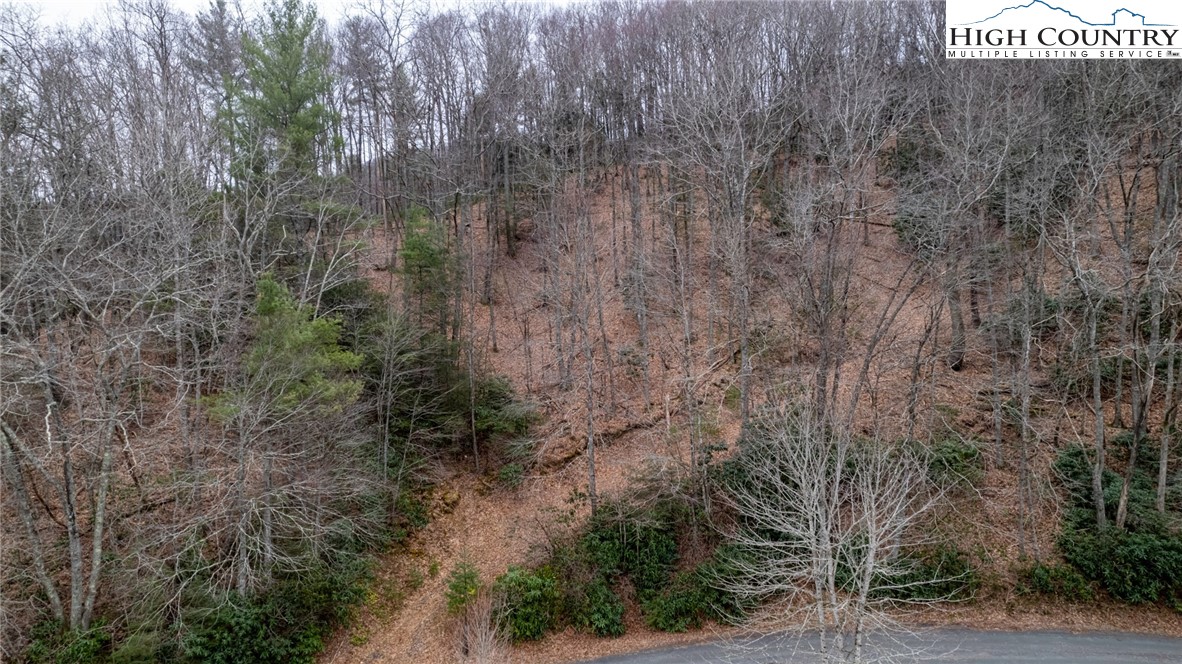 Bare Hollow Road West Jefferson, NC 28694 - Photo 10 of 30