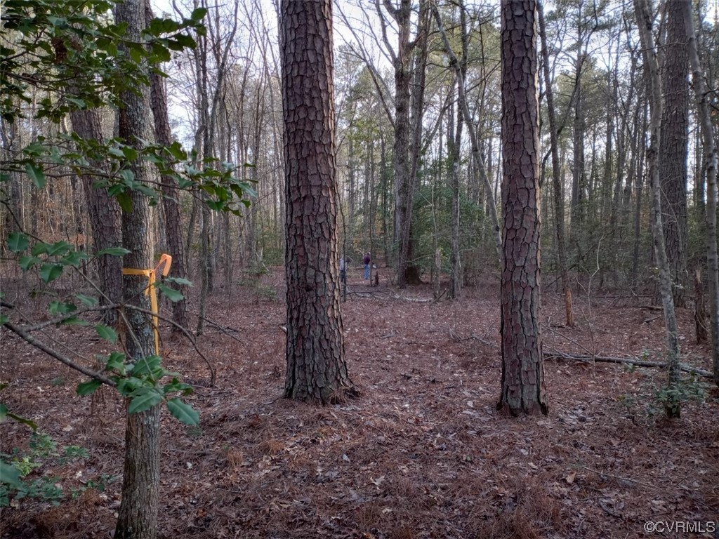 9633 East Quaker Road Disputanta, VA 23842 - Photo 1 of 1 Gallery Image 1