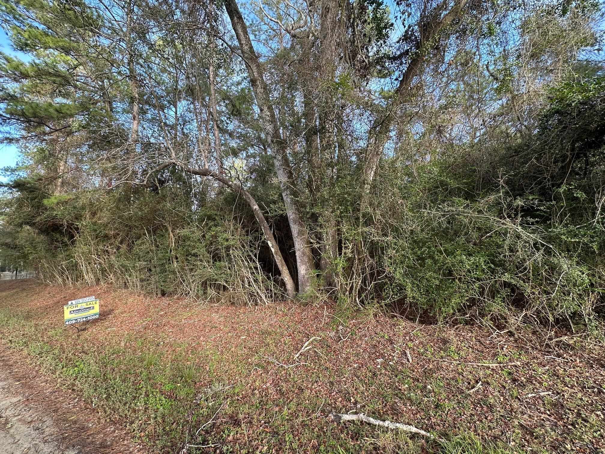 0 County Road Silsbee, TX 77656 - Photo 1 of 1