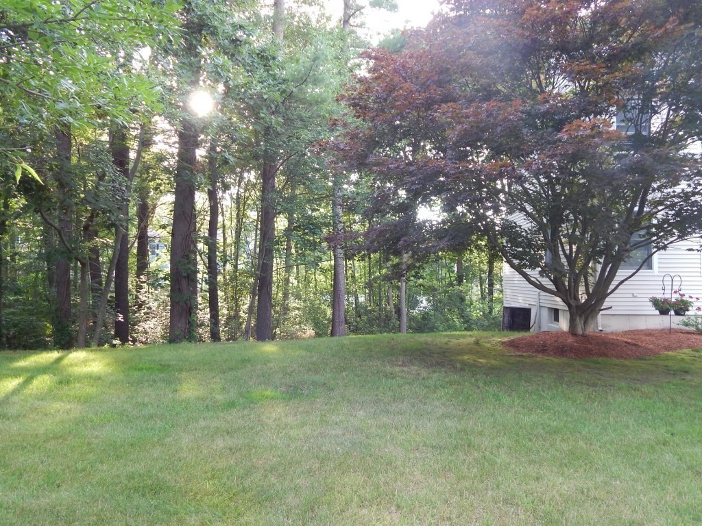 30 Wildwood Road Danvers, MA 01923 - Photo 8 of 30 Gallery Image 8