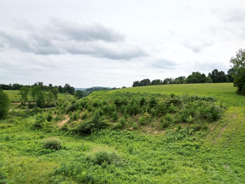 9991 Yates Road London, KY 40741 - Photo 3 of 14 84B403E3-6860-4A0F-8786-85E8544E3CEA_1_1