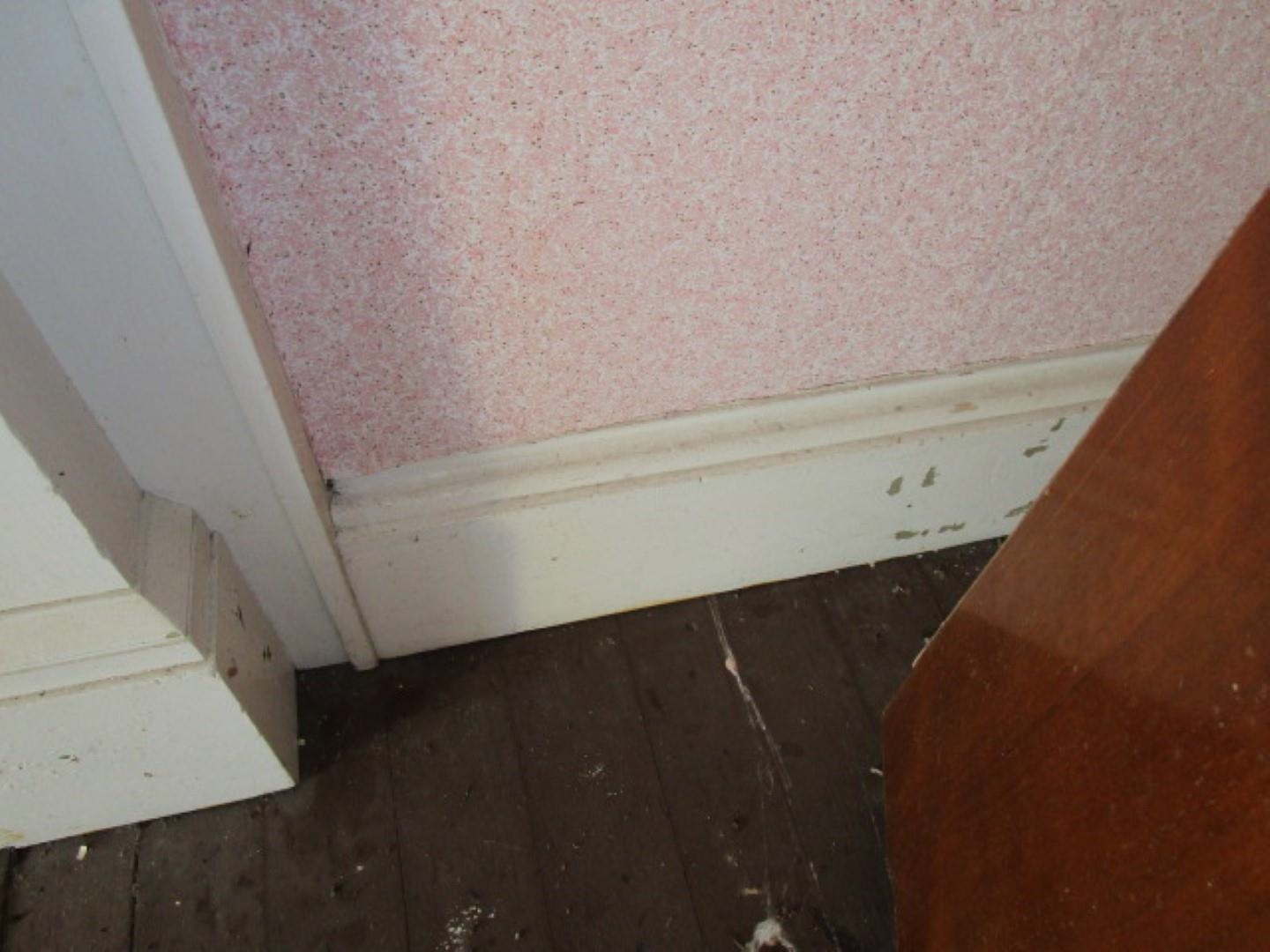 5787 Borden Grant Trail Raphine, VA 24472 - Photo 25 of 41 a close view of closet
