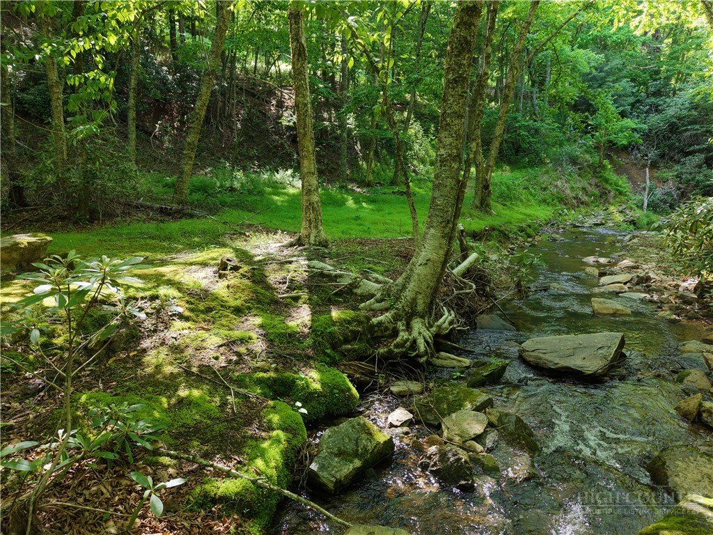 Cedar Lane Boone, NC 28607 - Photo 2 of 12