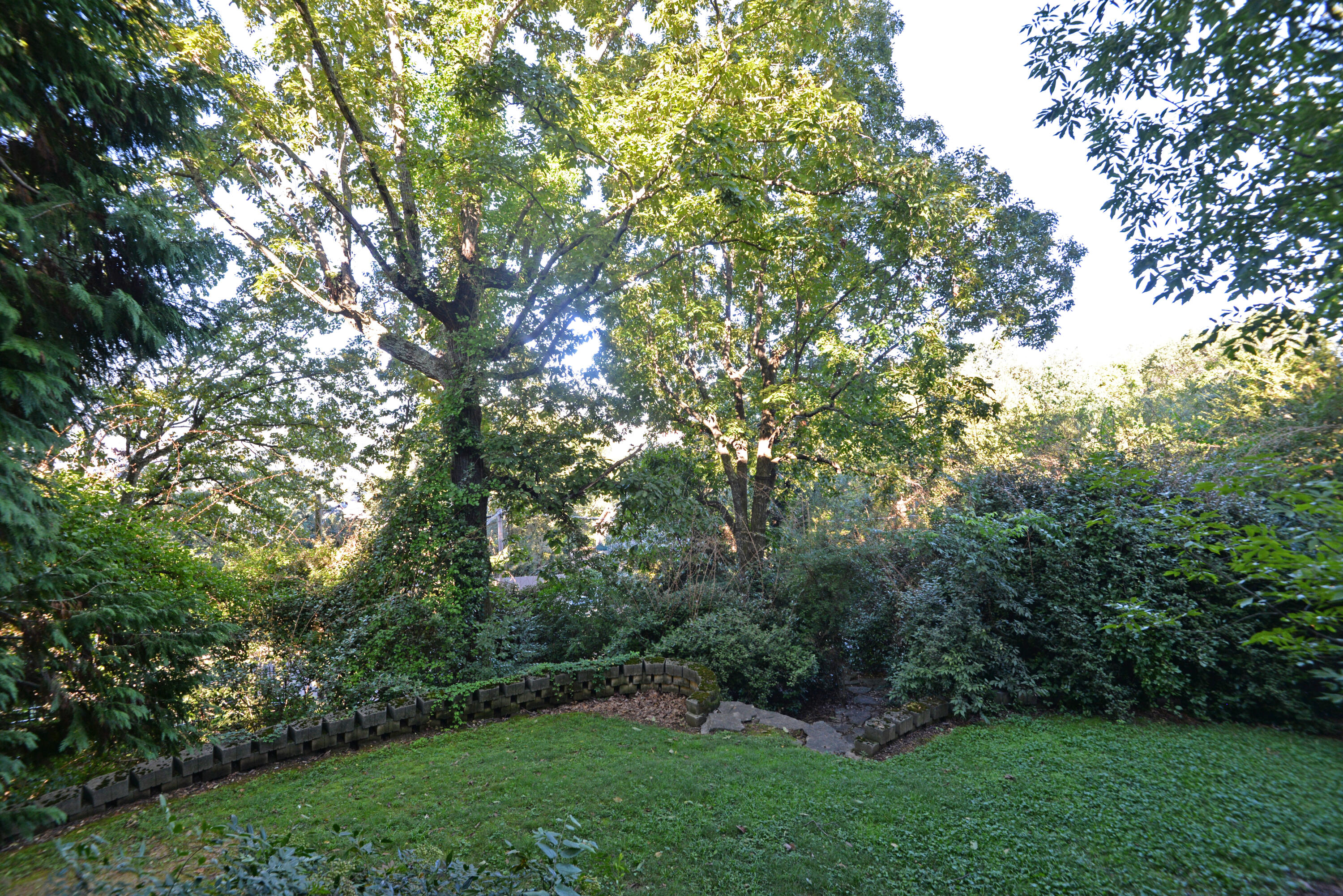 190 North Crest Road, Unit 1 Chattanooga, TN 37404 - Photo 18 of 25 Summer view from balcony