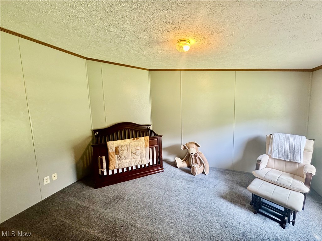 3264 Simpson Road Southeast Dennison, OH 44621 - Photo 13 of 29 Bedroom featuring a decorative wall, a textured ceiling, carpet, crown molding, and a crib