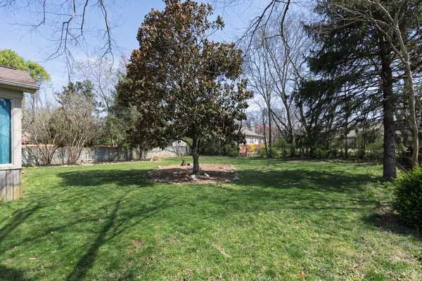 a view of a park with large trees