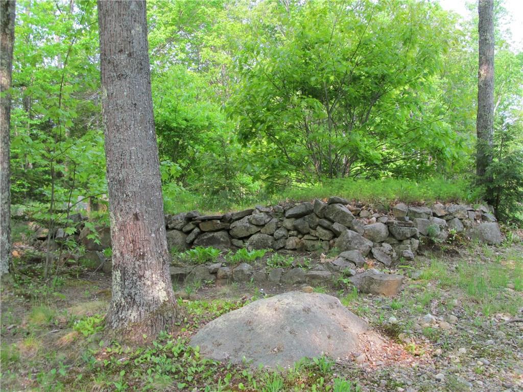 277 Blanchard Road Sanford, ME 04083 - Photo 26 of 32 Stone walls on property
