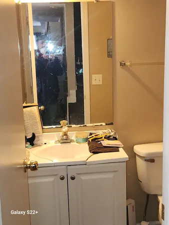 a bathroom with a sink and a toilet