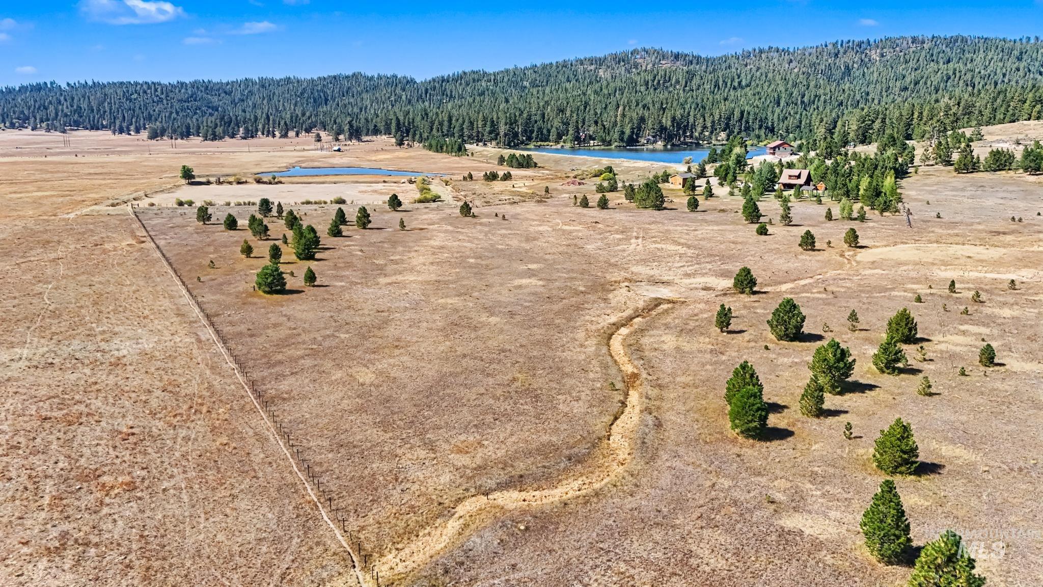 Expansive open field with scattered evergreen trees, a narrow dirt path, and a distant body of water