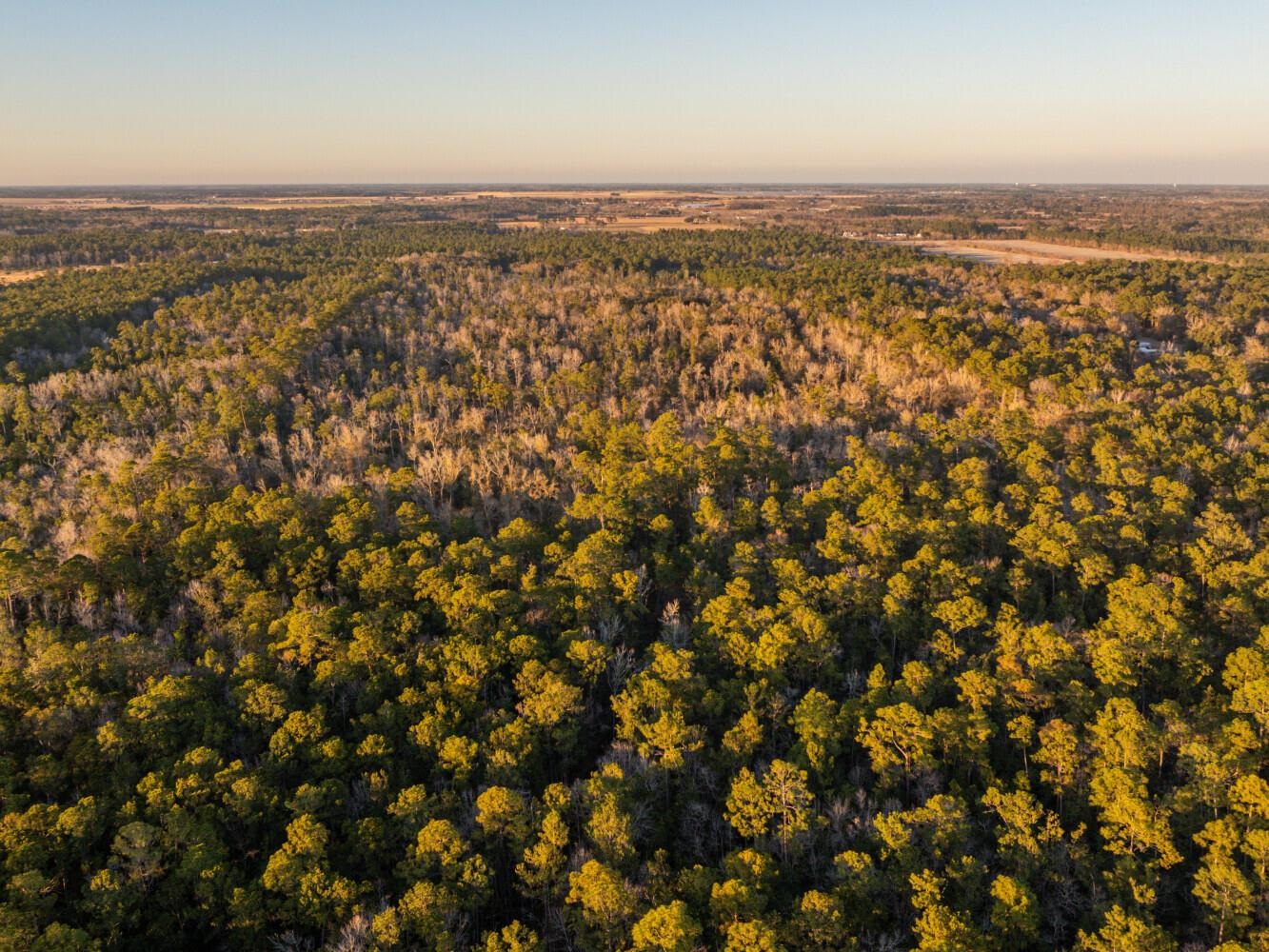 0 Kennedy Road Bon Secour, AL 36511 - Photo 5 of 25