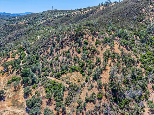 an aerial view of forest