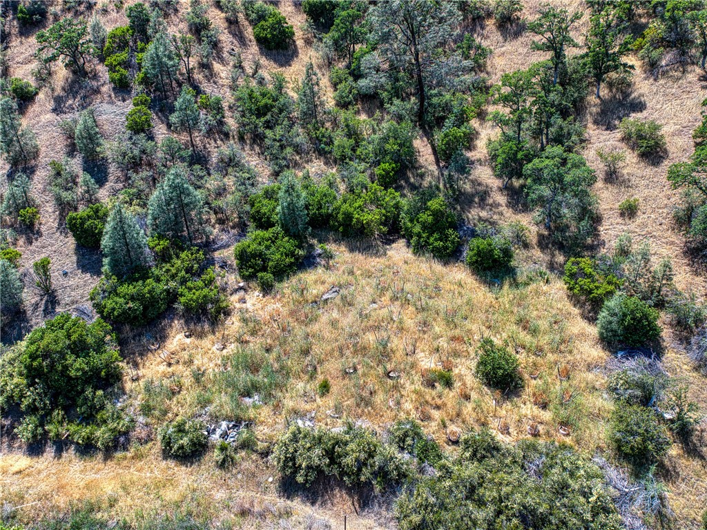 104 Mule Skinner Road Clearlake Oaks, CA 95423 - Photo 22 of 25 a view of a yard with plants and large trees