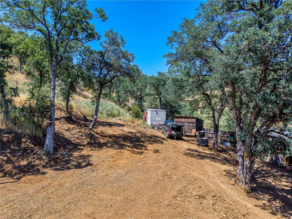 104 Mule Skinner Road Clearlake Oaks, CA 95423 - Photo 8 of 25 a view of a house with large trees and sitting area