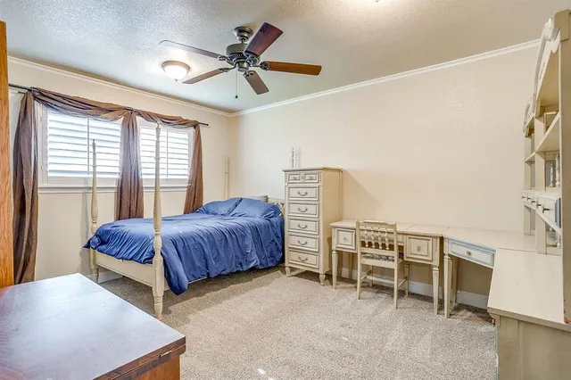a spacious bedroom with a bed and a cabinets