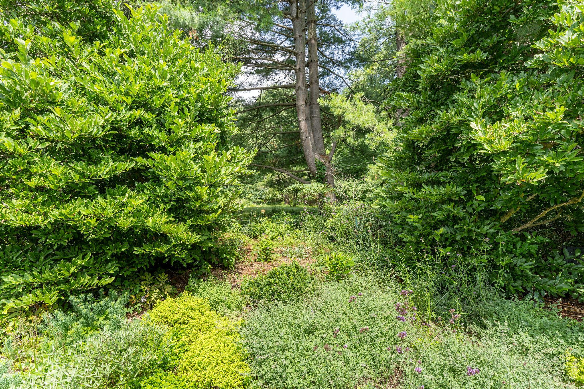 1350 Carriage Road Powell, OH 43065 - Photo 68 of 80 1350CarriageRdGardenAreas-14