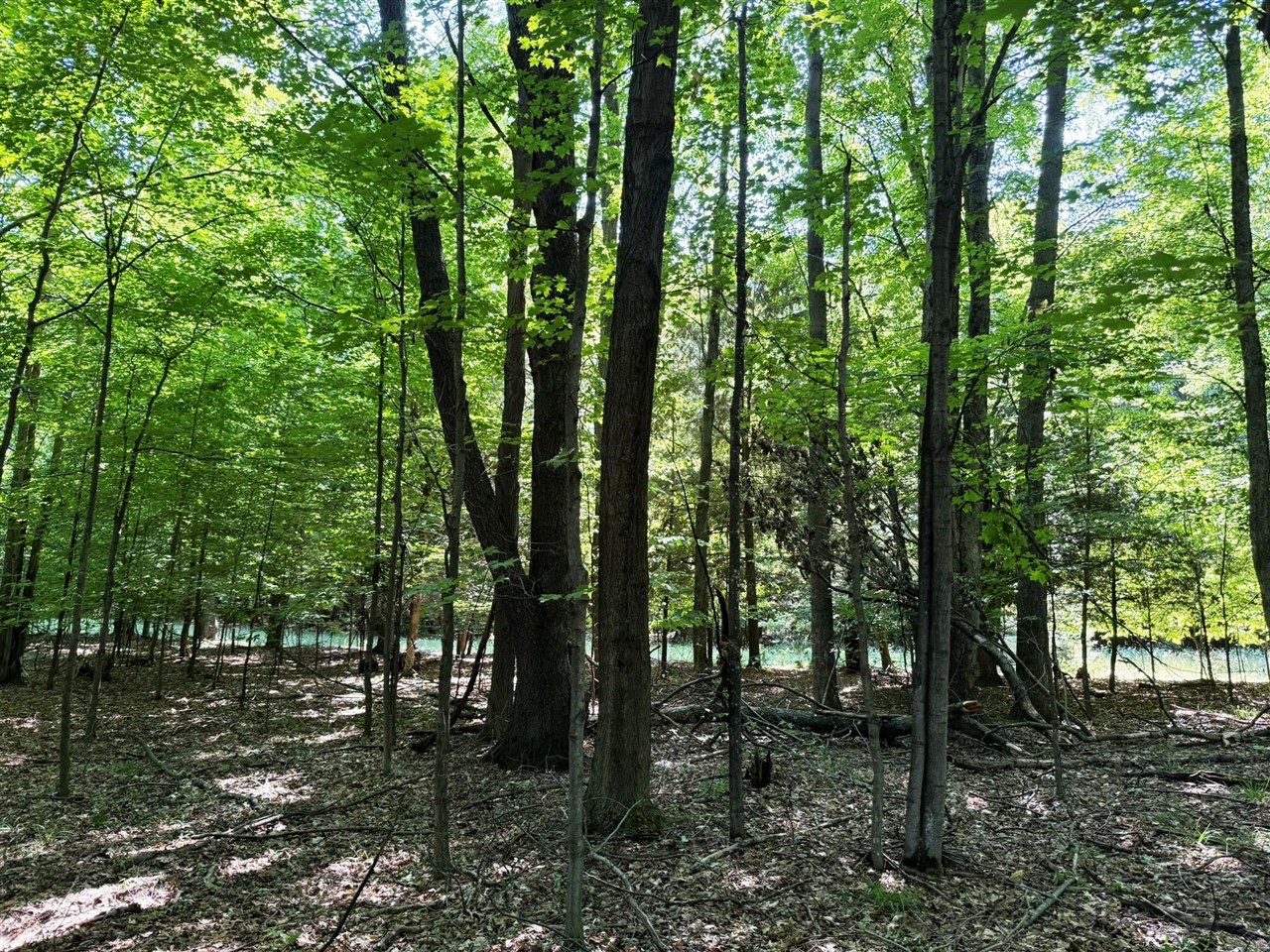 0 West Adams Road Hesperia, MI 49421 - Photo 5 of 74