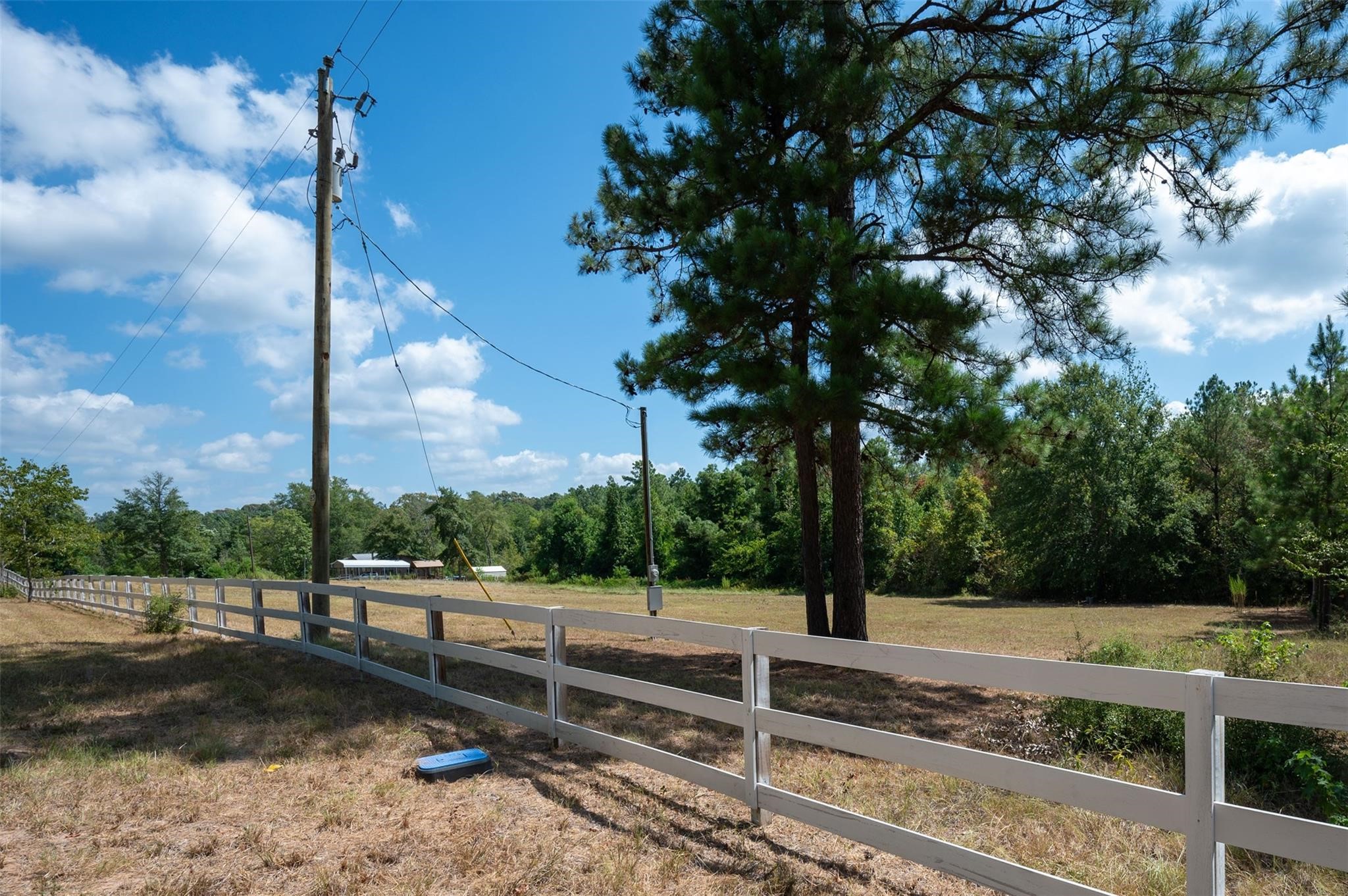 247 Blooming Dogwood Road Chester, TX 75936 - Photo 2 of 7 a view of a pathway