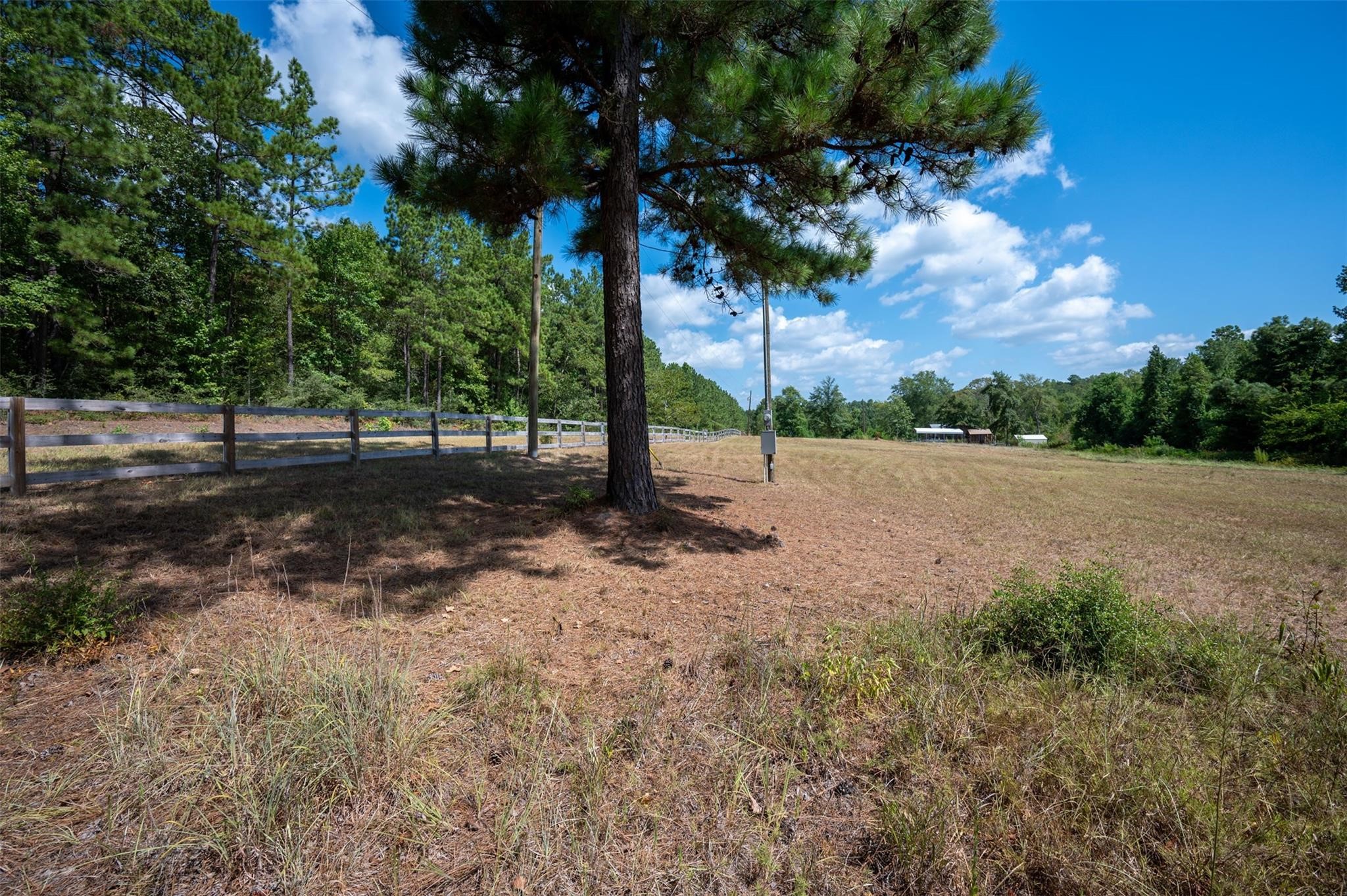 247 Blooming Dogwood Road Chester, TX 75936 - Photo 3 of 7 a backyard of a house with lots of green space