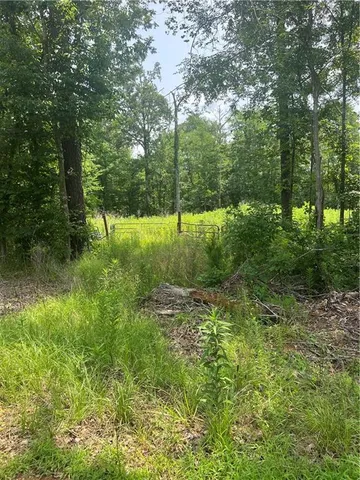 $19,900 | 0 Claudes Road, Colfax, LA 71417