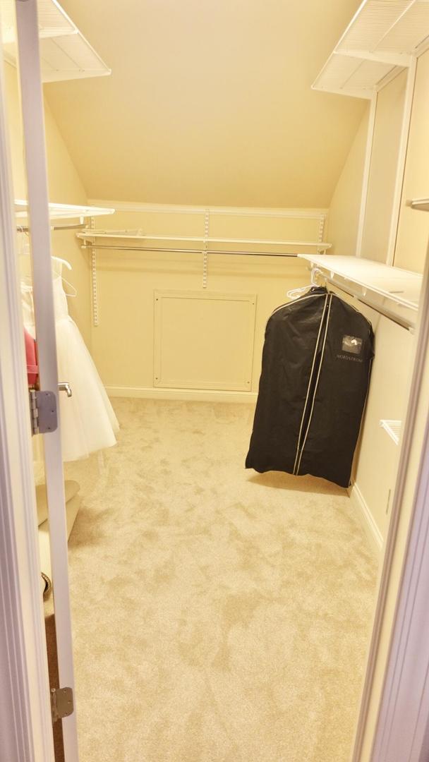 1811 Rizzi Lane Bartlett, IL 60103 - Photo 26 of 35