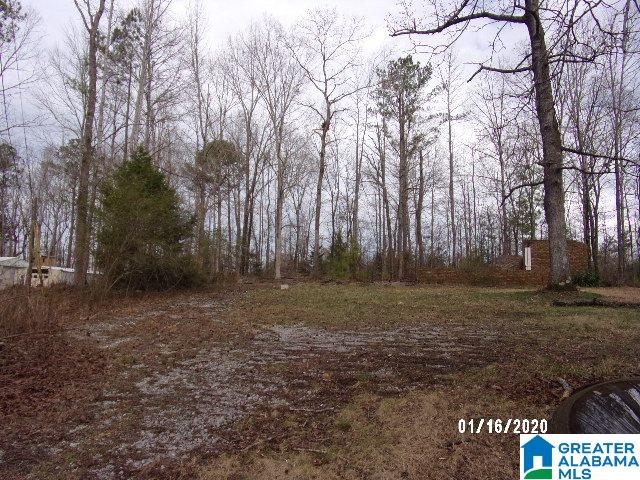 5736 County Road 51 Clanton, AL 35046 - Photo 1 of 7