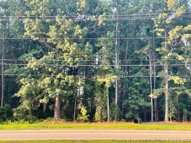 Raeford Road Fayetteville, NC 28304 - Photo 3 of 5