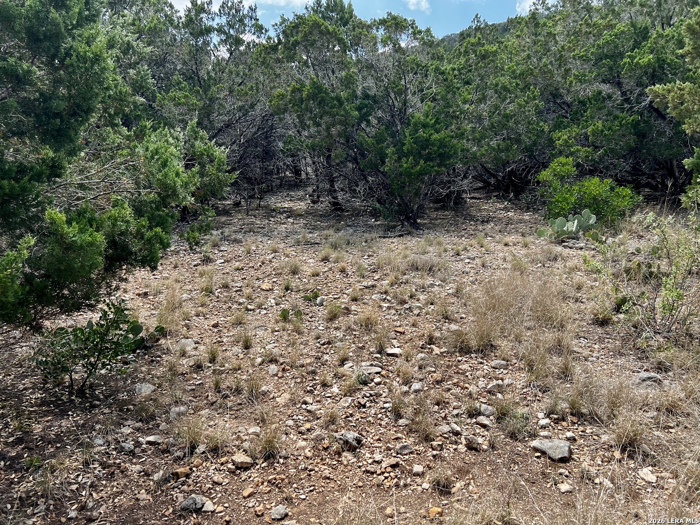 16 Cedar Rdg Lane Concan, TX 78838 - Photo 2 of 8