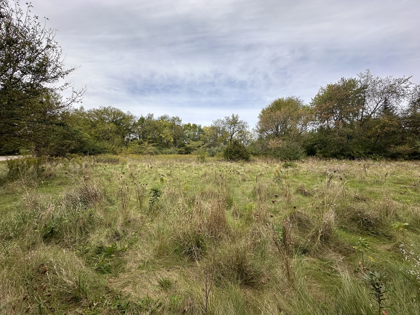 103 Wolf Drive Dixon, IL 61021 - Photo 2 of 2