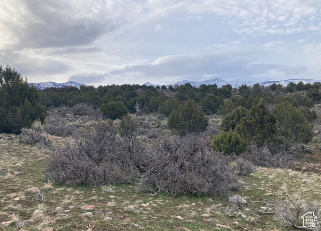 825 East 800th Street South Fillmore, UT 84631 - Photo 16 of 18
