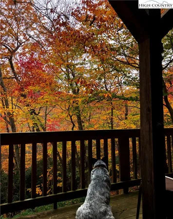 $469,000 | 140 Vixen Den Drive, Zionville, NC 28698