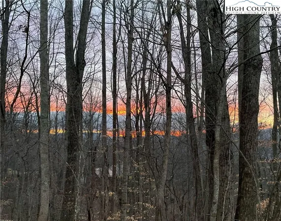 $469,000 | 140 Vixen Den Drive, Zionville, NC 28698