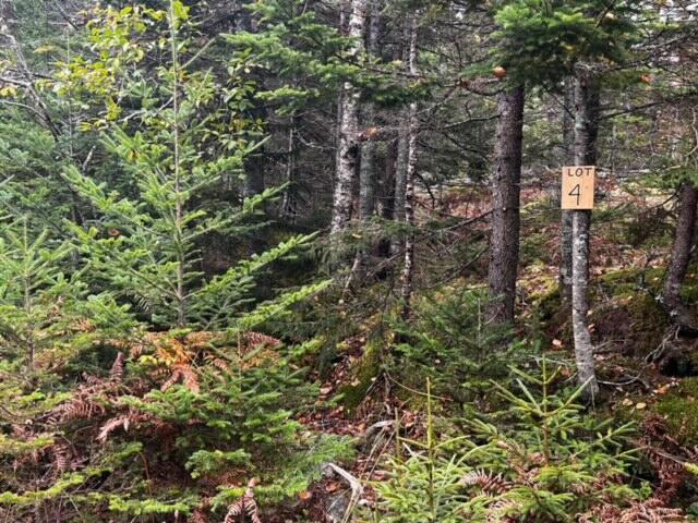 12-4 South Burnt Cove Road Stonington, ME 04681 - Photo 2 of 11 George's Woods Lot #4