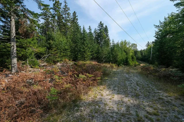 $62,500 | 12-4 South Burnt Cove Road, Stonington, ME 04681