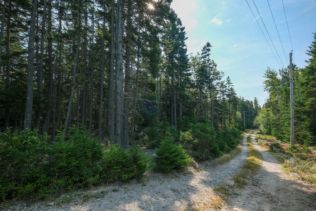 12-4 South Burnt Cove Road Stonington, ME 04681 - Photo 6 of 11 GeorgesWoodsland-11