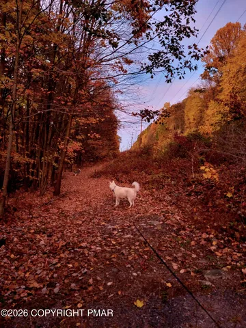 a view of a backyard of a house