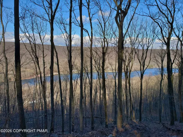 a view of outdoor space