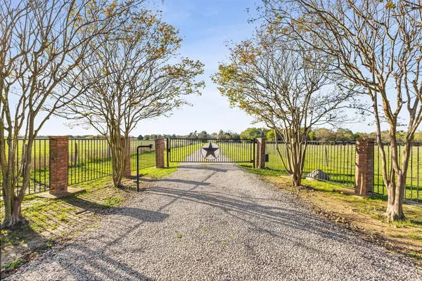 a view of a park with a large tree