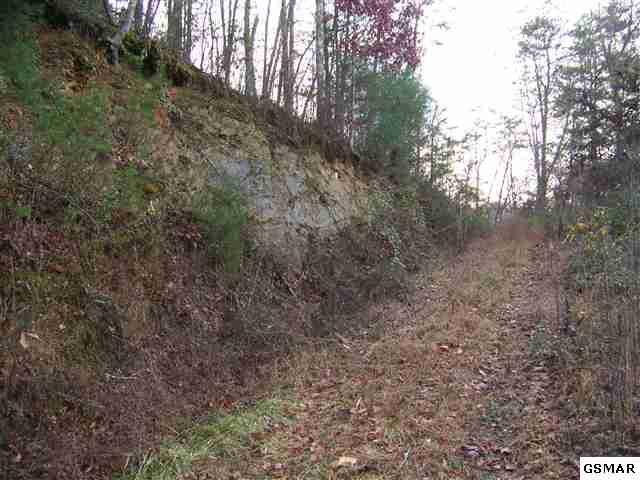 Birds Creek Road Sevierville, TN 37876 - Photo 3 of 7 GSMAOR179095B