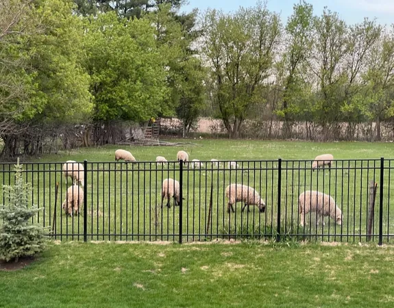 $499,900 | 2110 Silver Leaf Drive, Island Lake, IL 60042