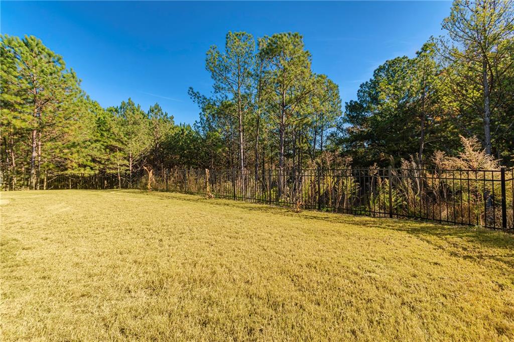 280 Mackenzie Court Covington, GA 30016 - Photo 21 of 24 a view of yard with trees